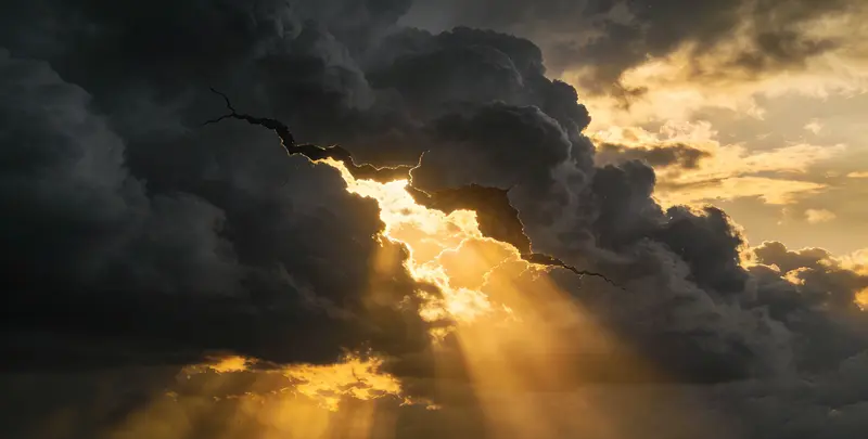 成都肺癌8基因突变检测（组织）图片1