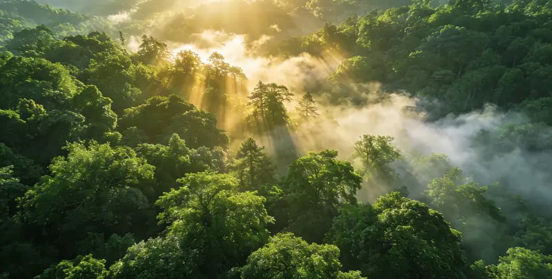 成都肺癌靶向120基因检测（组织）图片1
